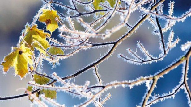 Ενημέρωση: αναγγελίες ζημιών σε καλλιέργειες της Νάουσας και του Κοπανού από παγετό στις 21.03.2022