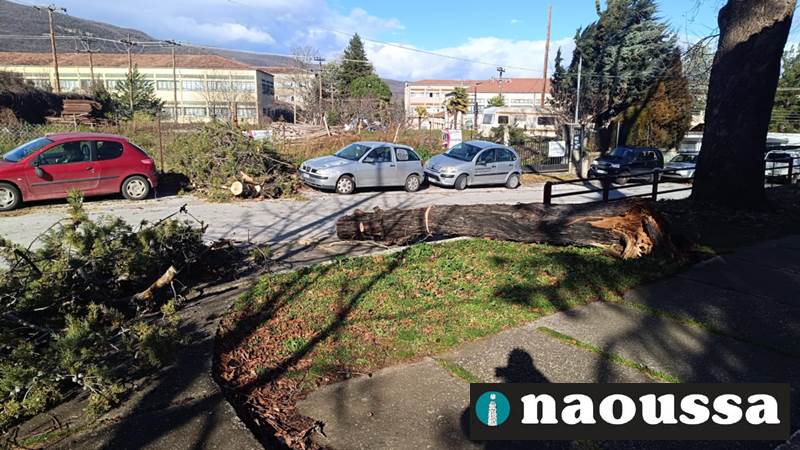 Διπλή αναστάτωση στο «Πανόραμα» των Εργατικών Κατοικιών