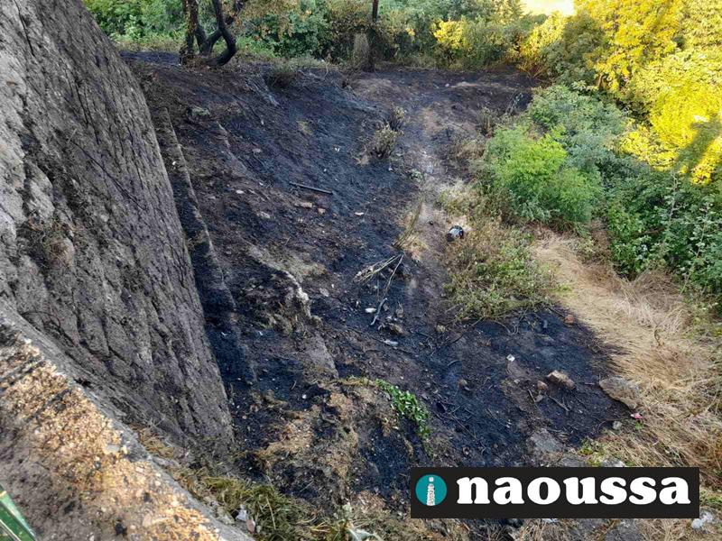 Φωτιά στο πρανές στα όρια του δημοτικού πάρκου Νάουσας-Άμεση επέμβαση της ΠΥΝ