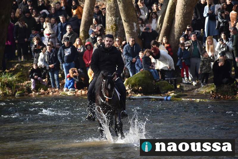 Εντυπωσιακή παρουσία του Ιππικού Ομίλου Νάουσας στον Αγιασμό των υδάτων (φωτορεπορτάζ) 