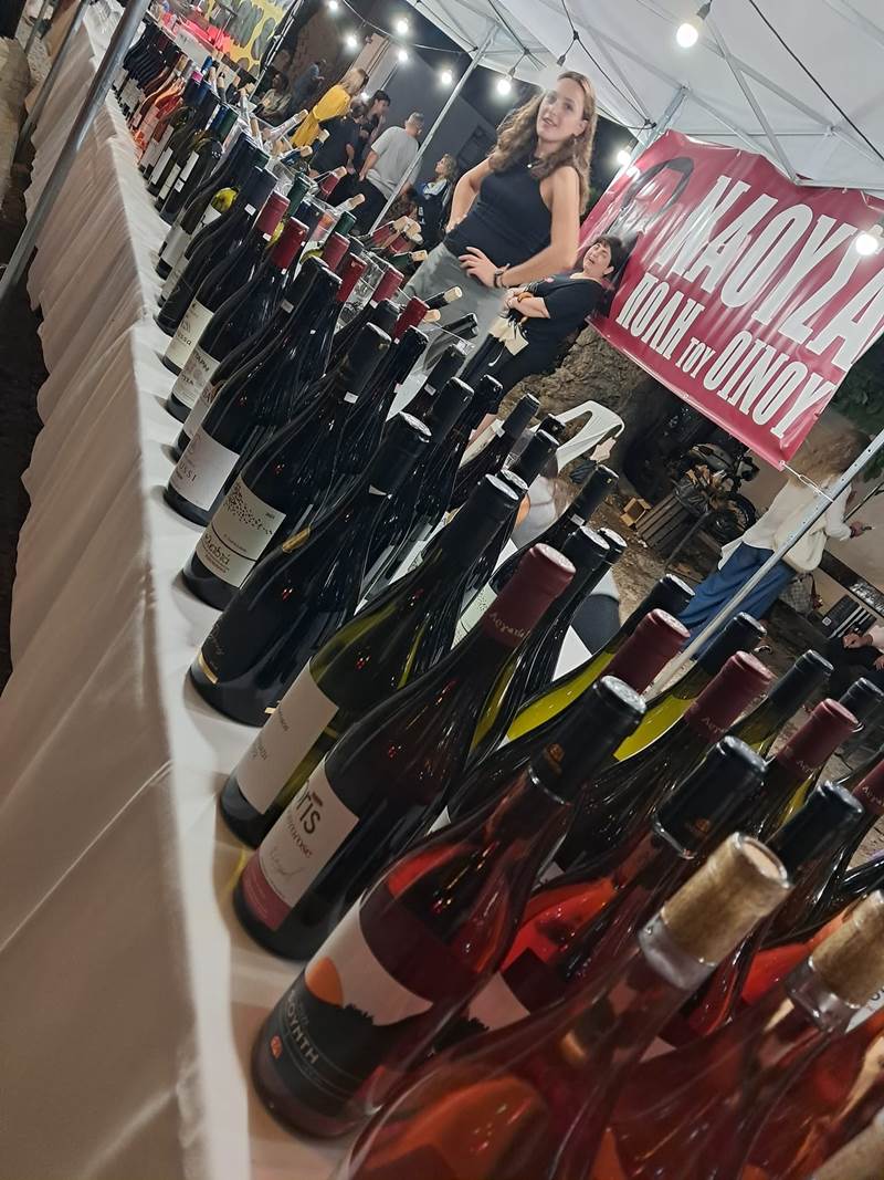 Naoussa Street Food Festival - Wine Edition (H ομορφιά και η πολυπλοκότητα του Ξινόμαυρου μπροστά στα μάτια μας) 