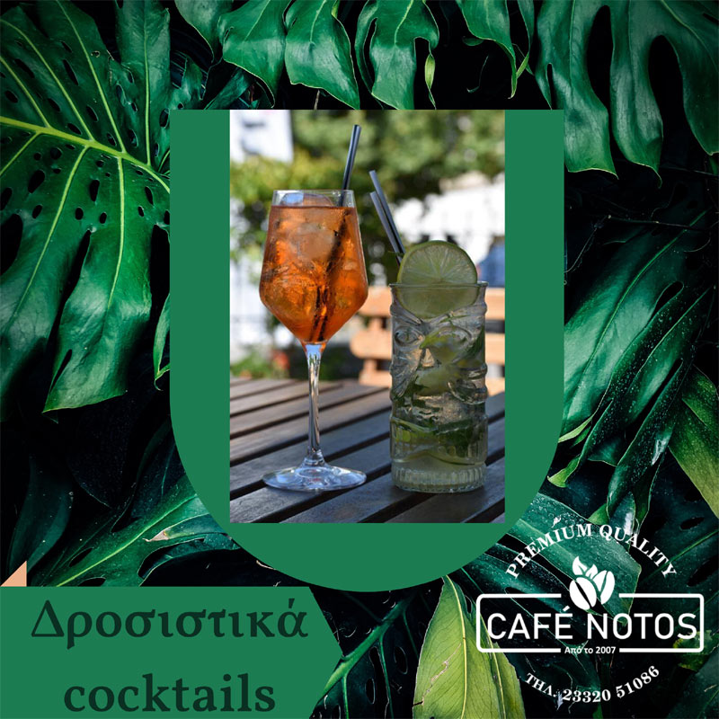 Δροσιστικά καλοκαιρινά cocktails στο «Notos café» στο Γιαννακοχώρι Νάουσας 