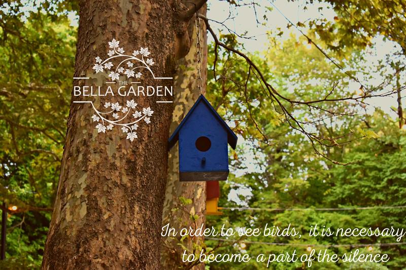 Νιώσε την μαγεία της φύσης στο The Bella Garden