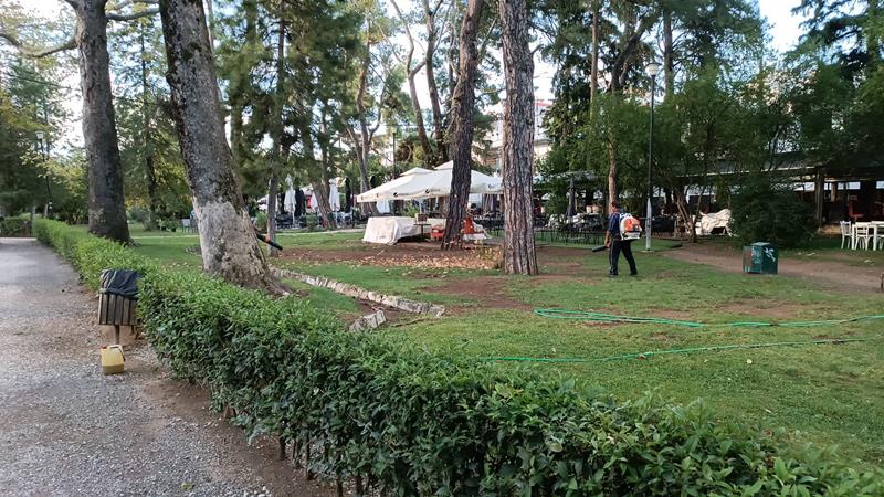 Άμεσα απομακρύνθηκαν από τα συνεργεία του Δήμου Νάουσας τα δέντρα και τα κλαδιά που έπεσαν από το μπουρίνι του Σαββάτου