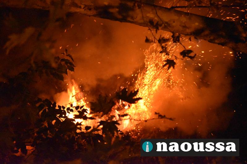 Μαίνεται η φωτιά στο δημοτικό πάρκο Νάουσας (video)