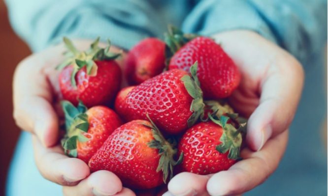 Τι προσφέρουν οι φράουλες στην υγεία σας–Σπουδαία οφέλη αλλά και κάποιοι…κίνδυνοι