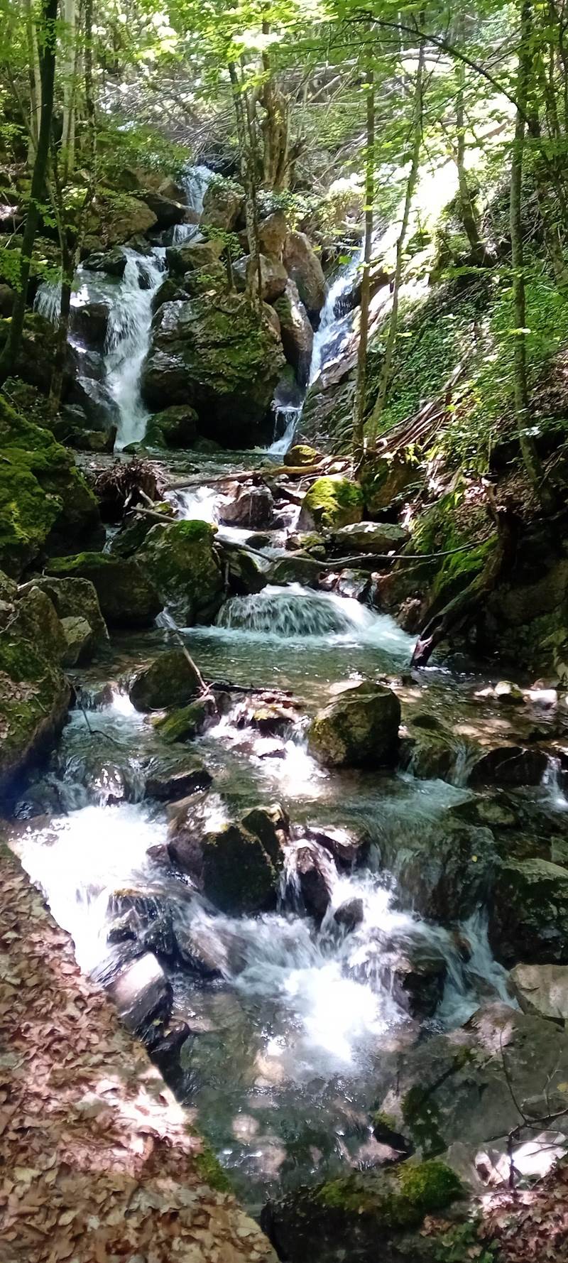Στις Βάθρες Μεταμόρφωσης, Βέρμιο, Νάουσα 1/6/2025!
