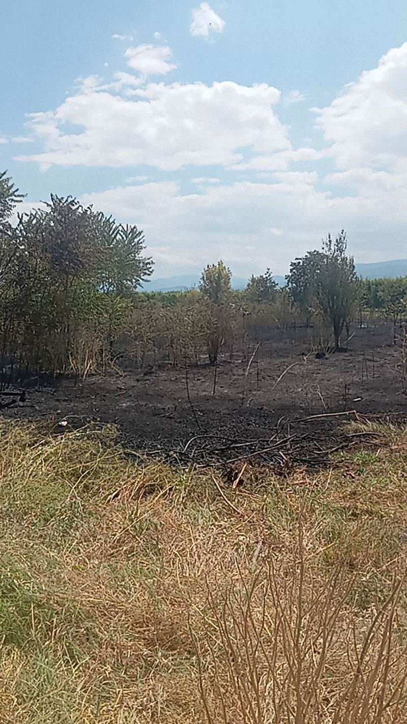 Άμεση κατάσβεση φωτιάς στο Αγγελοχώρι