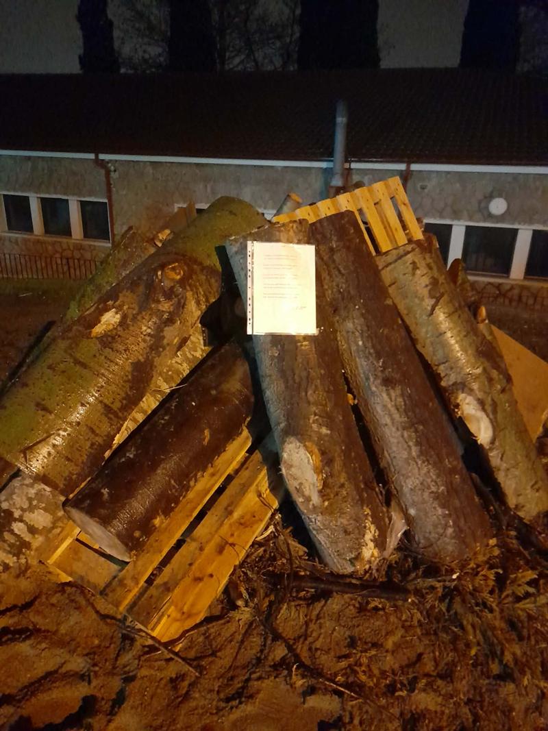 «Νυχτερινή καταδρομική επίθεση» στους Καρτσούνους της Νάουσας από την ομάδα Ανταρτών