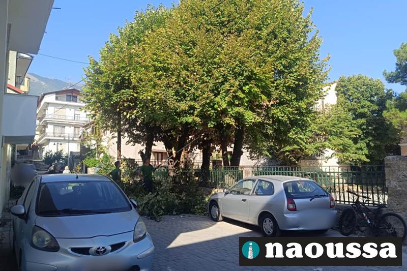 Καθαρισμοί και παρεμβάσεις στα σχολεία της Νάουσας