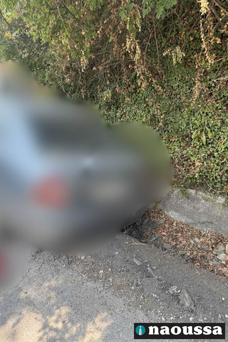 Τροχαίο ατύχημα το μεσημέρι της Τρίτης στην έξοδο της Νάουσας